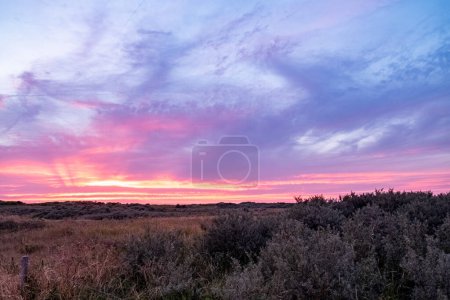 The photograph captures a stunning sunset over a heathland, where the sky is painted with a dramatic mix of purples, pinks, and oranges. The clouds are dispersed across the sky, creating a dynamic