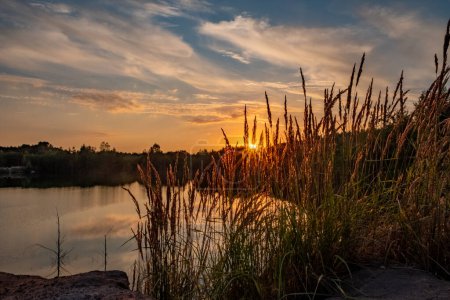 A serene lake reflecting a beautiful sunset with tall grass in the foreground and a colorful sky in the background