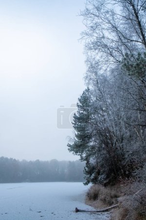 This image offers a glimpse into a tranquil winter morning by the lake, where the frost has gently adorned the trees and the quiet water mirrors the stillness of the season. The mist hangs above the