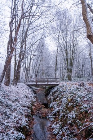 As winter whispers through the woods, this image captures a quaint wooden bridge dusted with snow, crossing a gentle stream. The surrounding trees, bare and frosted, frame the scene with their