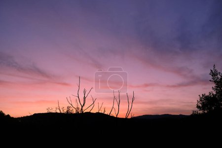 Beautiful sunset with pink and purple sky, silhouetted trees and mountain horizon creating a serene scene.