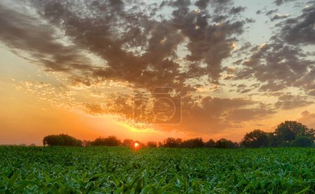 The image captures the majestic beauty of early morning on the farm, with the suns golden rays peeking above the horizon and illuminating the sky in a fiery spectacle. Dark, expressive clouds are