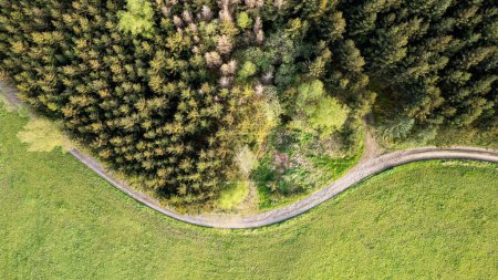 This aerial photograph captures the edge of a dense forest transitioning into an open grassland, with a curved path creating a natural boundary between the two. The image showcases a rich contrast
