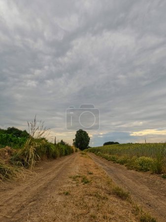 A tranquil rural dirt road winds through fields below a dramatic cloudy sky, offering picturesque scenery