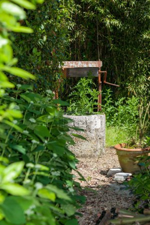 Ein ruhiger Gartenweg mit einem alten Brunnen, umgeben von sattgrünem Laub, bietet an einem sonnigen Tag eine ruhige Oase im Freien