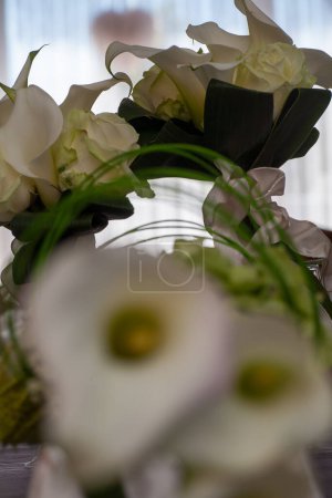 Erfassen Sie die Schönheit eleganter weißer Blumen, perfekt für Frühlings- und Hochzeitsmotive, mit einem weichen Fokus in Nahaufnahmen