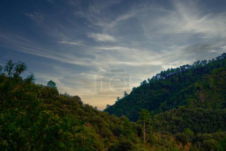 A breathtaking view of a mountain forest under a stunning sky with wispy clouds during a mesmerizing sunset
