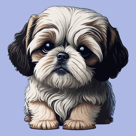 Illustration for Shih Tzu dog vector illustration isolated on a plain background. Sticker design. - Royalty Free Image