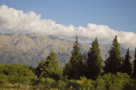 Téléchargez les photos : Paysage de montagnes avec des pins verts dans l'après-midi - en image libre de droit