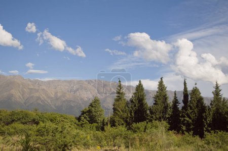 Téléchargez les photos : Paysage de montagnes avec des pins verts dans l'après-midi - en image libre de droit