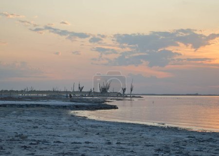 Paysage d'arbres secs sur la côte de la lagune Mar Chiquita à Miramar de Ansenuza au coucher du soleil