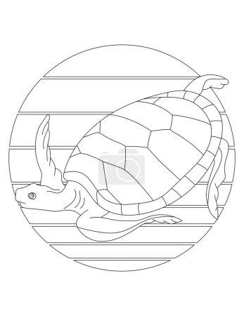Foto de Página para colorear tortuga marina. Página para colorear de animales acuáticos para niños que aman los animales marinos submarinos, la vida marina y la vida marina - Imagen libre de derechos