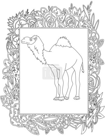 Camel in A Floral Frame Coloring Page. Printable Coloring Worksheet for Kids and Adults. Educational Resources for School.