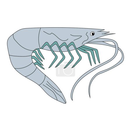 Ilustración de Camarones Clipart. Clipart de animales acuáticos para amantes de los animales marinos submarinos, la vida marina y la vida marina - Imagen libre de derechos