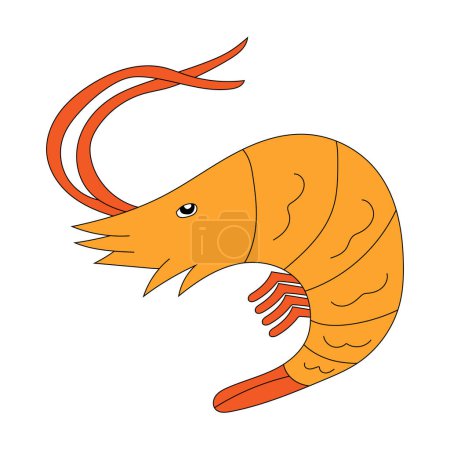 Shrimp Clipart. Aquatic Animal Clipart for Lovers of Underwater Sea Animals, Marine Life, and Sea Life