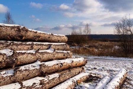 Téléchargez les photos : Début d'hiver doux dans la vallée de la Narew, Podlasie, Pologne - en image libre de droit