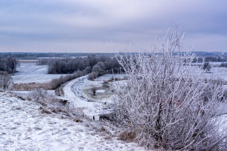 Téléchargez les photos : Paysage hivernal peint par givre de Narew et Biebrza, Podlasie, Pologne - en image libre de droit