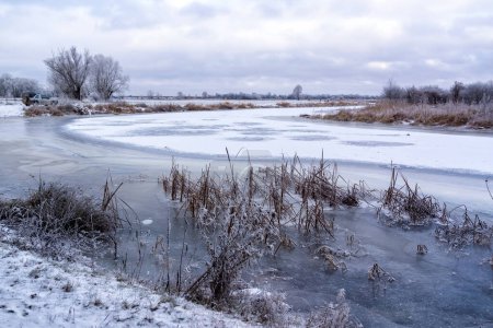 Téléchargez les photos : La beauté du paysage hivernal de la vallée de Narew, Podlasie, Pologne - en image libre de droit