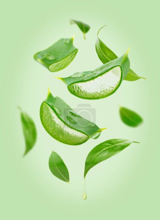 Photo for Composition of flying tea leaves and aloe vera slices green background. - Royalty Free Image