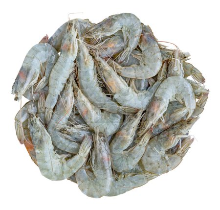 Photo for Vannamei prawn or Pacific white shrimp isolated on white background, clipping path. - Royalty Free Image
