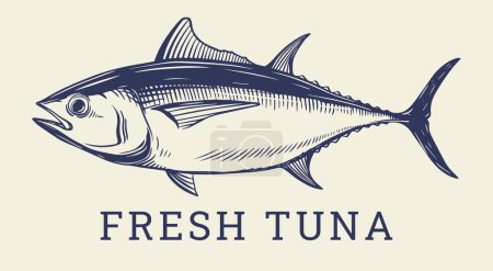 Illustration for Big tuna fish hand drawing vector illustration for logo design, packaging, label design, print and other design - Royalty Free Image