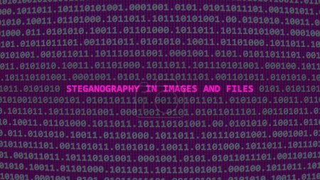 Cyber attack steganography in images and files. Vulnerability text in binary system ascii art style, code on editor screen. Text in English, English text
