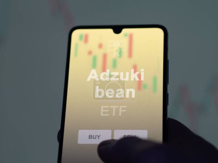 Ein Anleger analysiert den Adzuki-Bohnenfonds auf einem Bildschirm. Ein Telefon zeigt die Preise der Adzuki-Bohne
