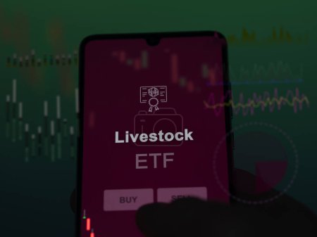 An investor analyzing the livestock etf fund on a screen. A phone shows the prices of Livestock