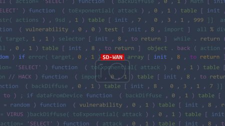 Cyber attack sd-wan text in foreground screen of code editor developer studio point of vue. Vulnerability text in binary system ascii. Text in English, English text