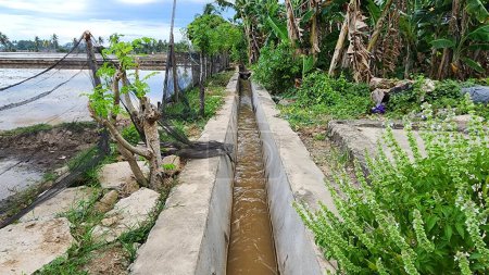 Foto de Canales de riego de arrozales, arrozales listos para plantar en el pueblo de Masolo Pinrang, Indonesia - Imagen libre de derechos