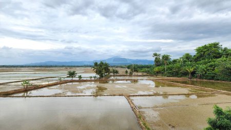 Téléchargez les photos : Rizières qui sont prêts pour la plantation, en utilisant des canaux d'irrigation, le travail du sol, l'arrosage, de sorte que le processus de plantation de riz est effectué deux fois par an. belle nature rurale dans la région de mallaga pinrang - indonesia - en image libre de droit