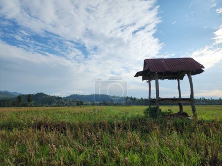 Foto de Hermosos paisajes naturales rurales, campos de arroz y plantaciones en Masolo Pinrang Village, Indonesia - Imagen libre de derechos
