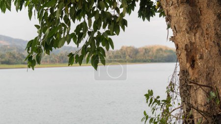 Téléchargez les photos : Belle nature paysagère de rivières et de montagnes dans le village de Benteng Pinrang dans l'après-midi, Asie Indonésie - en image libre de droit