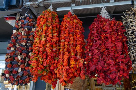  Girlanden aus getrockneten Paprika und lila Auberginen hängen auf dem Bauernmarkt an Seilen. 