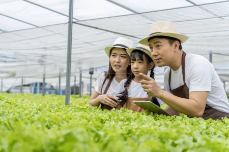 Téléchargez les photos : Famille asiatique père, mère et fille cueillant des légumes. Heureux d'inspecter votre propre potager hydroponique. - en image libre de droit