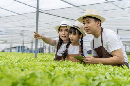 Foto de Familia asiática padre, madre e hija recogiendo verduras. Feliz inspección de su propio huerto hidropónico. - Imagen libre de derechos