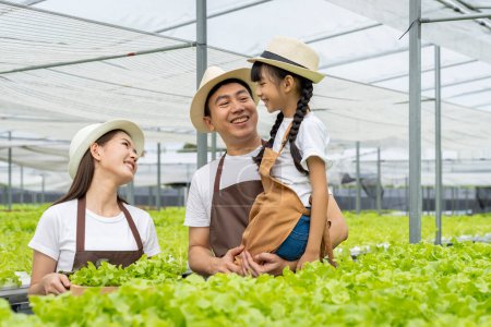 Téléchargez les photos : Famille asiatique père, mère et fille cueillant des légumes. Heureux d'inspecter votre propre potager hydroponique. - en image libre de droit