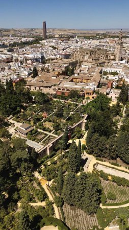 Téléchargez les photos : Drone photo Sevilla Alcazar, Real Alczar de Sevilla Espagne Europe - en image libre de droit