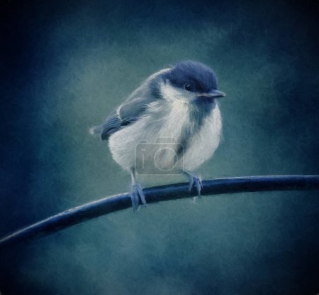 Photo for Baby blue tit waiting to be fed - Royalty Free Image