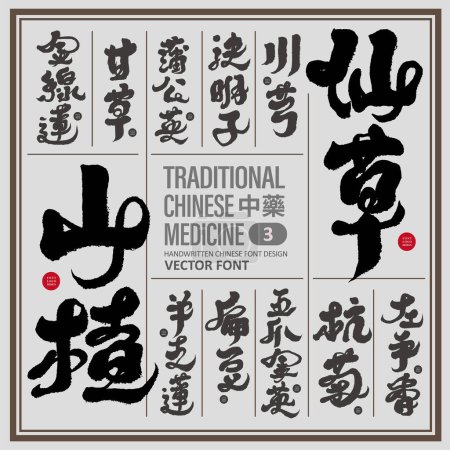 Illustration for Collection of Chinese medicine names (3), Asian traditional plant medicine, small card layout design, traditional Chinese medicine, plant names, handwritten calligraphy style. - Royalty Free Image