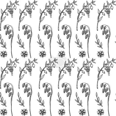 Photo for Floral seamless patterns. Hand-drawn decorative line art natural elements. Boho and vintage collection. Shamanic and pagan vibes. Isolated on white. - Royalty Free Image