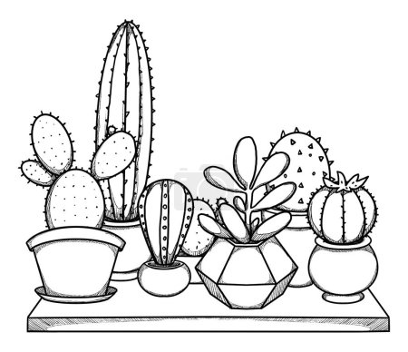 Téléchargez les photos : Boho maison plantes illustration. Cactus dessinés à la main et succulents. L'art linéaire. Composition florale. Elément vintage. Art wiccan et païen. Nature décorative. Isolé sur blanc - en image libre de droit