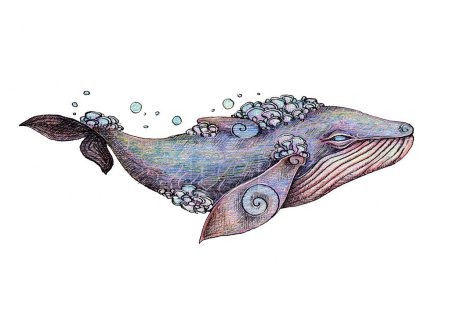 Encre dessinée à la main et crayons de couleur illustration de baleine. Animal féerique, créature magique. Illustration enfants