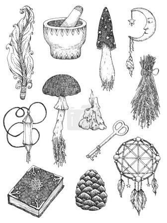 Set of hand drawn ink illustration of witchcraft elements. Elements for design. Prints.