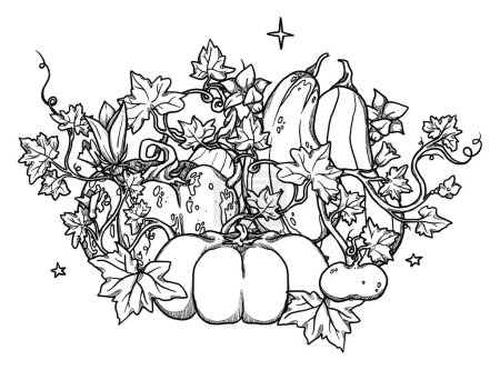 Set of decorative pumpkins and compositions. Hand-drawn autumn harvest. Boho and vintage collection. Line art fall grocery. Decorative nature. Isolated on white