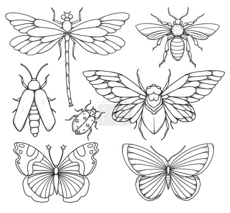 Photo for Set of insect illustrations. Boho and vintage collection. Beetle, bug, dragonfly, butterfly, firefly, cicada. Line-art. Hand-drawn. Isolated on white - Royalty Free Image