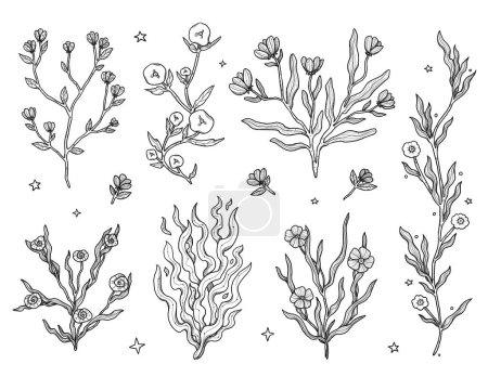 Set of decorative floral bouquets. Boho and vintage collection. Black and white elements. Line-art. Wiccan and pagan art. Decorative nature. Isolated on white