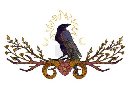 Photo for Boho birds illustration. Hand-drawn raven. Colored. Floral composition. Vintage element. Wiccan and pagan art. Decorative nature. Isolated on white - Royalty Free Image