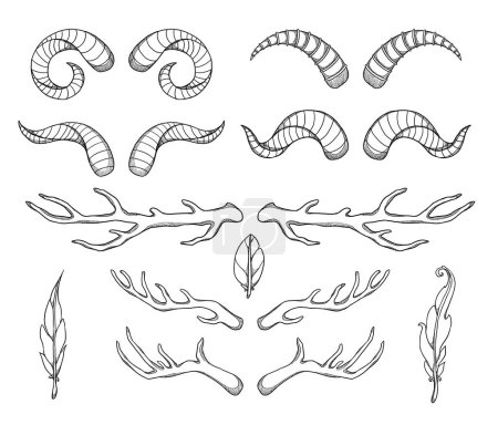 Set of decorative horns and feathers illustrations. Boho and vintage collection. Hand-drawn black and white. Isolated elements on white background. Goblincore