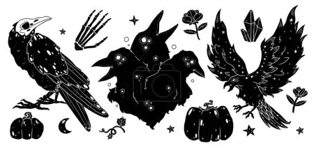 Photo for Set of witches familiars illustrations. Raven set. Boho and vintage collection. Decorative animals silhouette. Wiccan and pagan art. Decorative nature. Isolated on white - Royalty Free Image